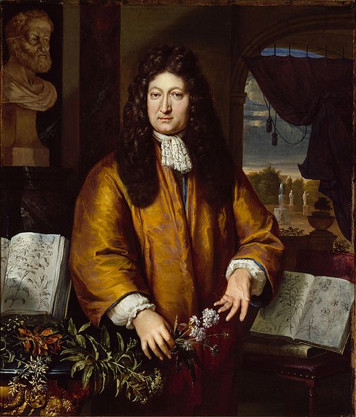 Portret van de Leidse botanicus Jan Commelin